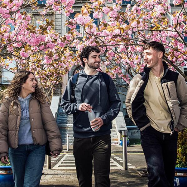 3 students walking at front of MIC Limerick with cherry blossoms in bloom behind them