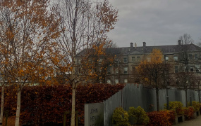 MIC in the Autumn - View from the international office looking at the leaves turning around the foundation building.