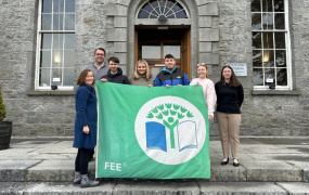 MIC Thurles Green Flag