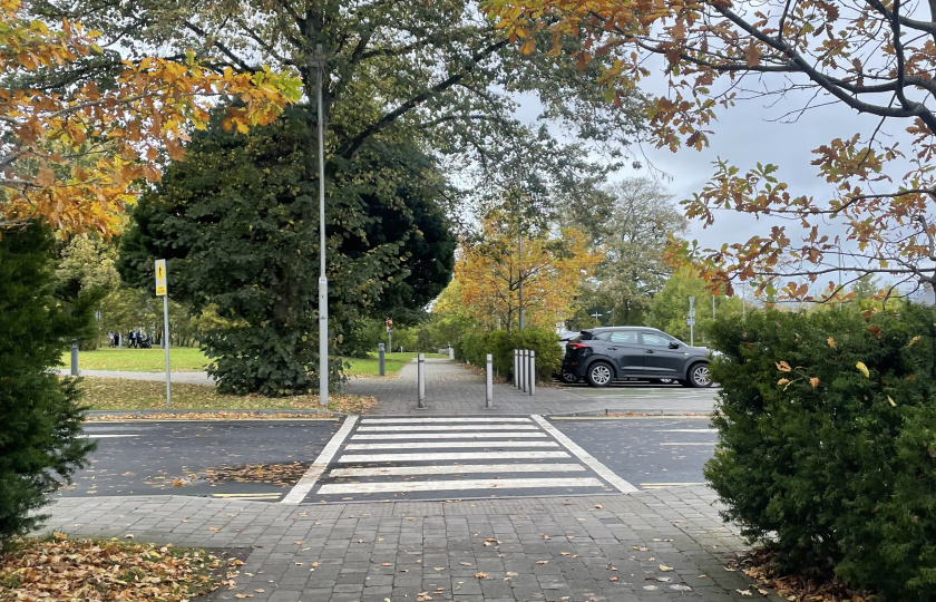 The Walk to Class