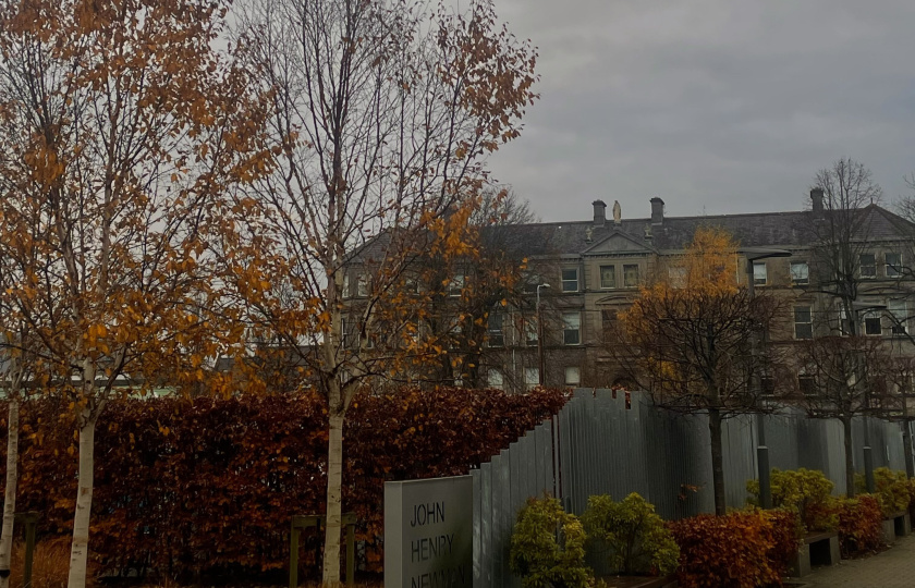 MIC in the Autumn - View from the international office looking at the leaves turning around the foundation building.