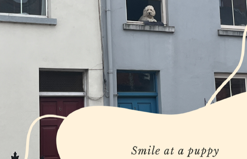 A friendly Limerick resident 