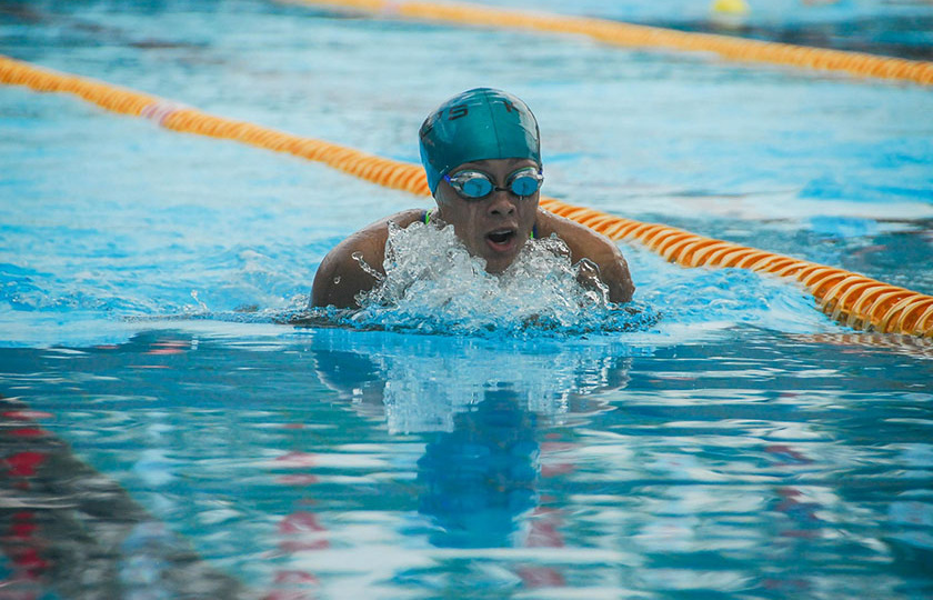 Swimmer in the pool