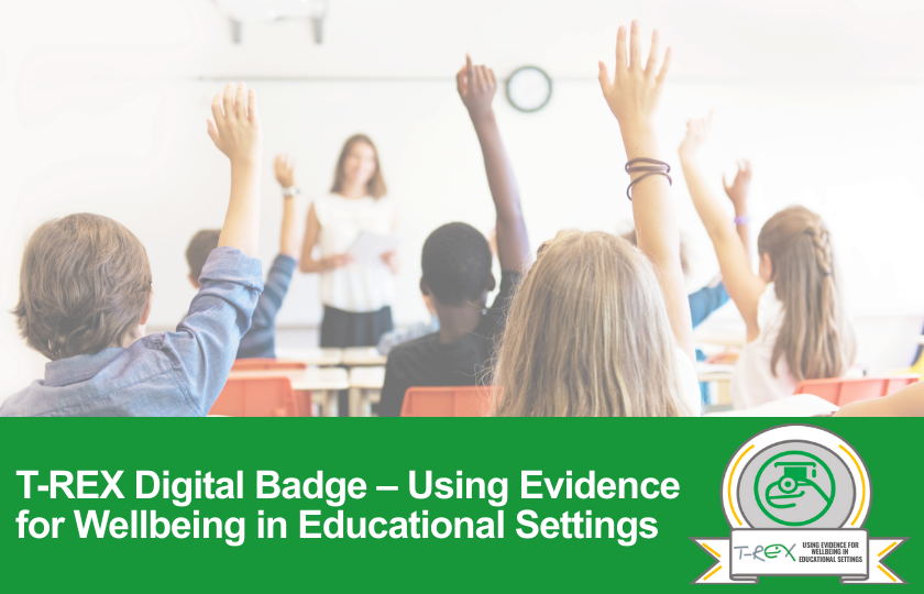 Evidence for Wellbeing in Educational Settings
